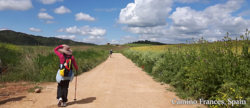 Camino de Santiago Way